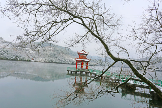 龙坝雪景BT