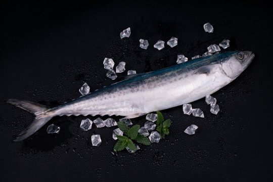 鲅鱼高清海鲜