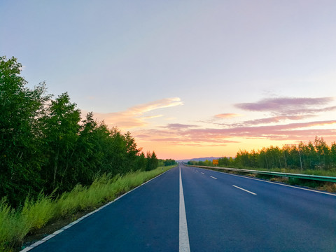 清晨森林公路