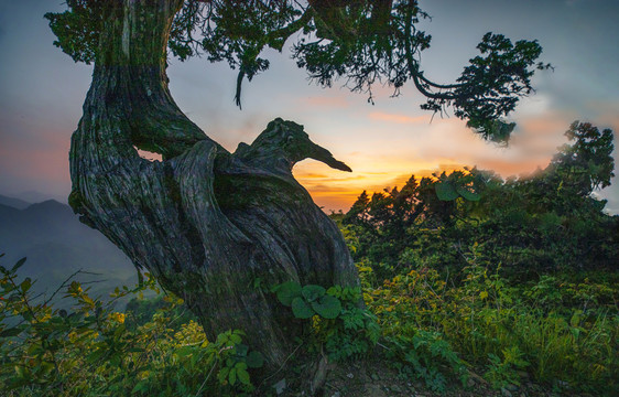 香炉山