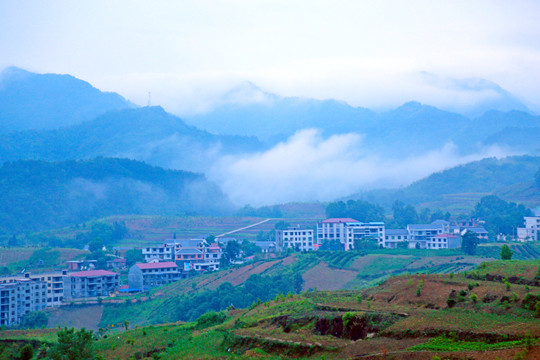 龙坝云雾G
