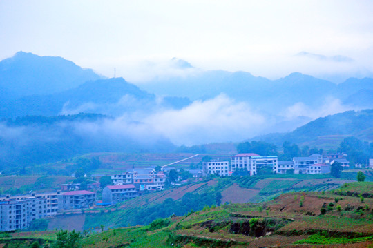 龙坝云雾I