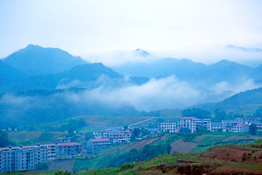 龙坝云雾K