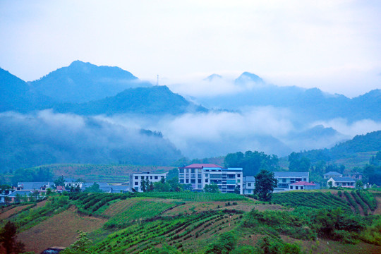 龙坝云雾R