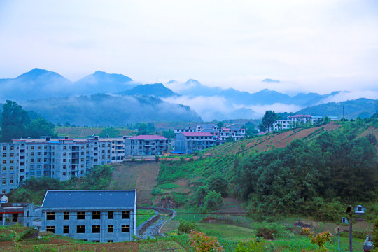 龙坝云雾U