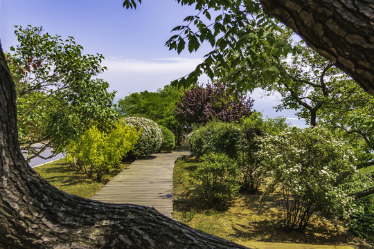 大连滨海路风景