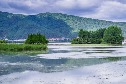 滇池湿地