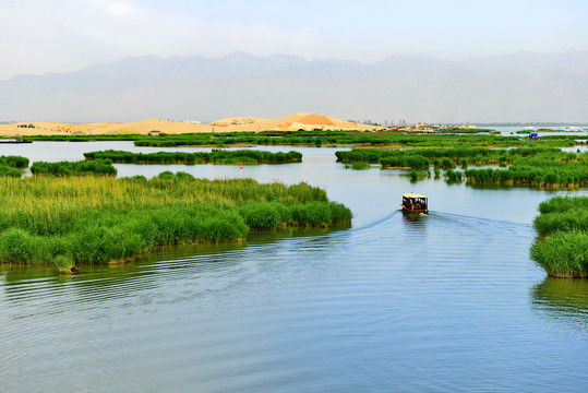 沙湖