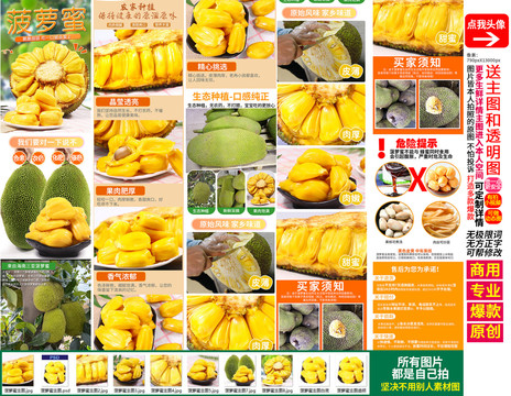 菠萝蜜详情页主图