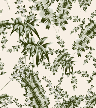 杏底绿叶植物