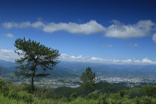 工业园区BO
