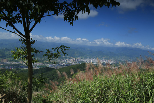 工业园区BU