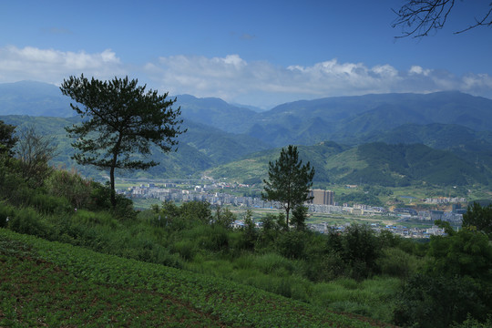 工业园区BY