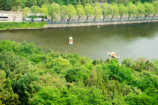 森林河流