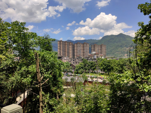 林中高楼