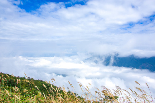 惠州大南山