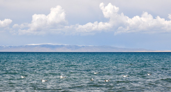 青海湖风景区