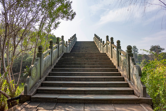 金华茶花文化园石拱桥