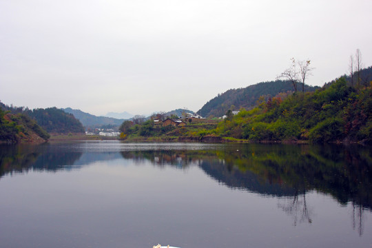 龙湖候鸟R