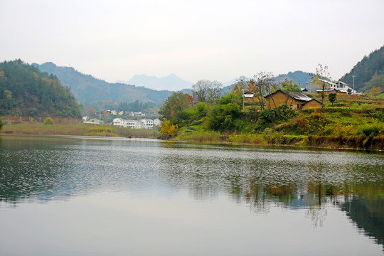 龙湖秋天BU