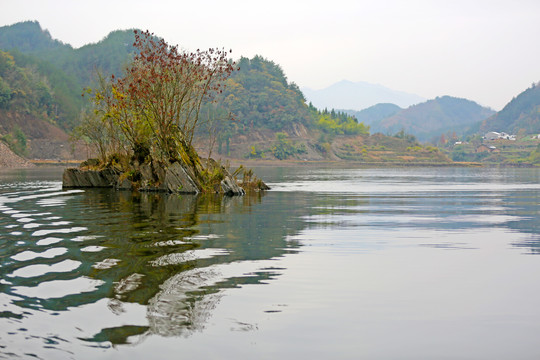龙湖秋天CB