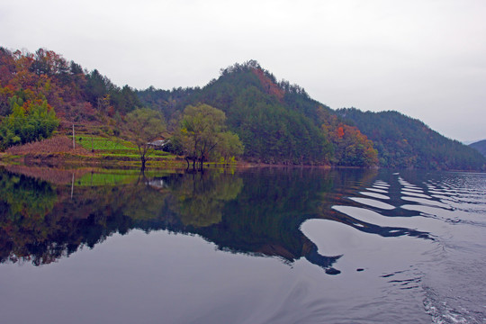 龙湖秋景CB