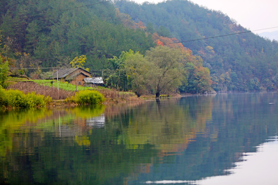 龙湖秋天CC