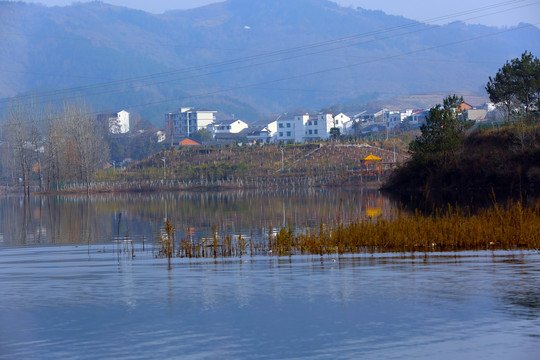 龙湖秋景D