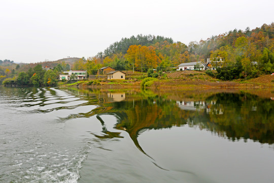 龙湖秋天CL