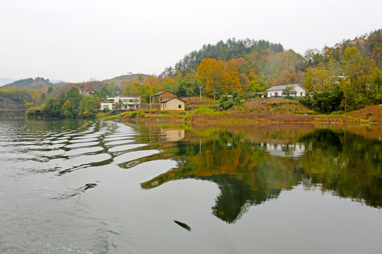 龙湖秋天CN