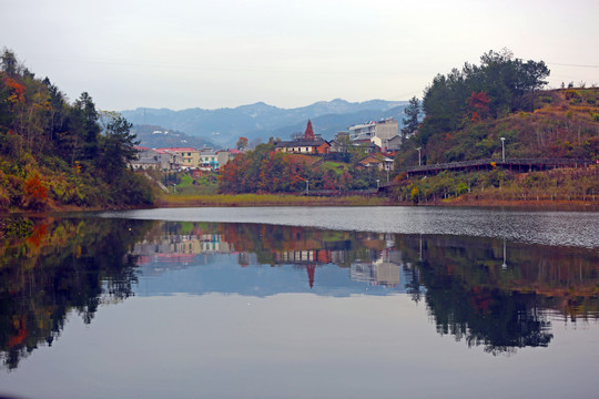 龙湖秋天B