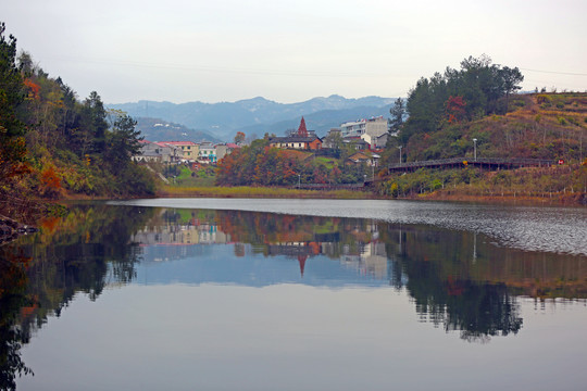 龙湖秋天BD