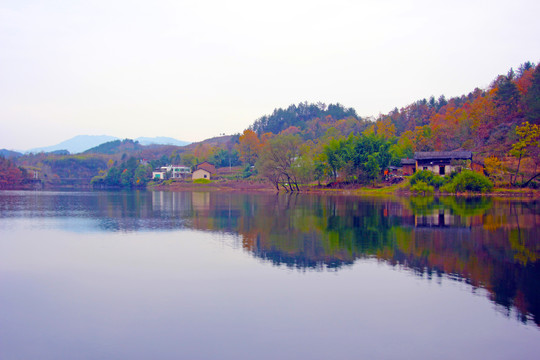 龙湖秋天CZ