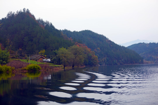 龙湖秋天BI