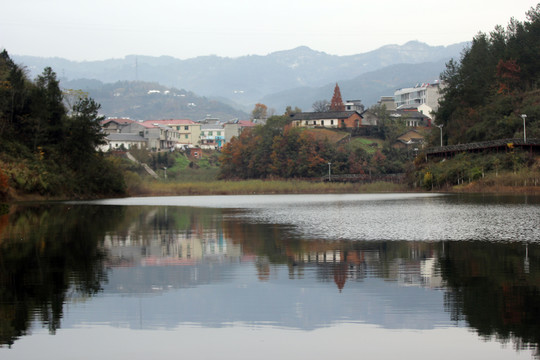 龙湖候鸟RN