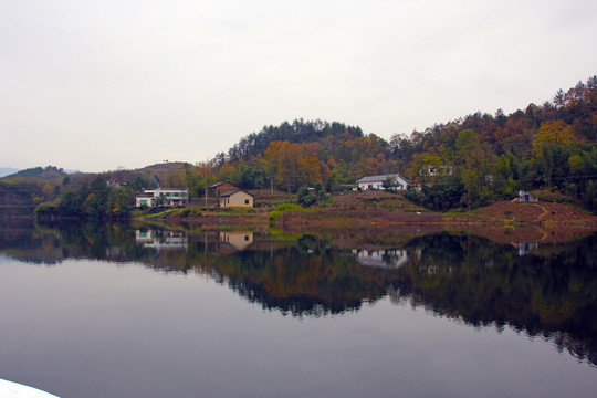 龙湖秋景A