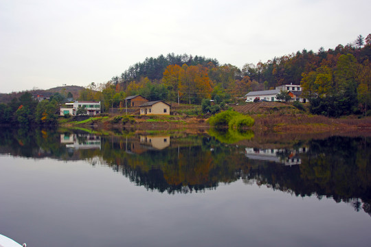 龙湖秋景BH