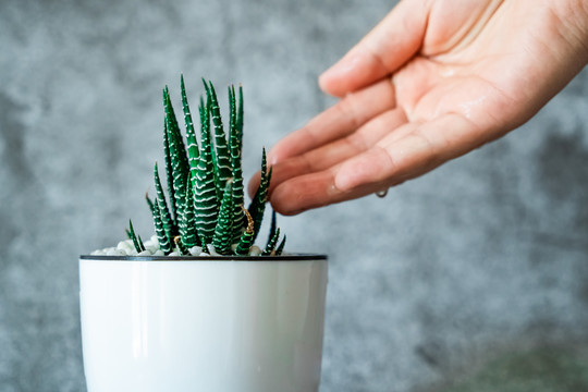 植物保护环境概念图