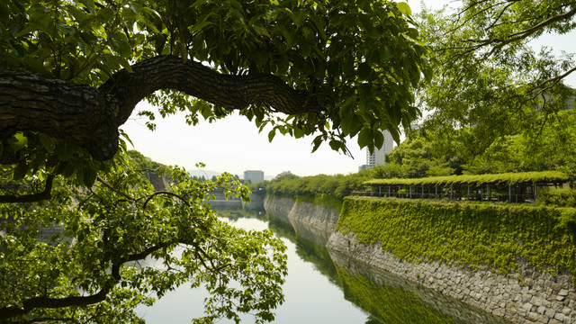 日本大阪城护城河