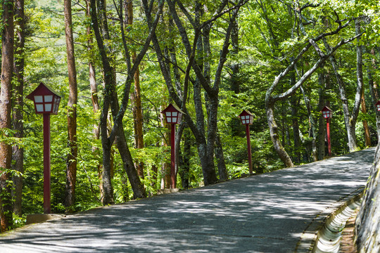 通往富士新仓山浅间公园的道路