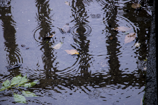 雨天的地面