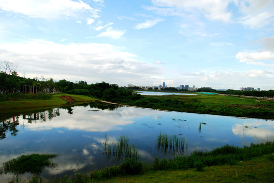 池塘原野风光