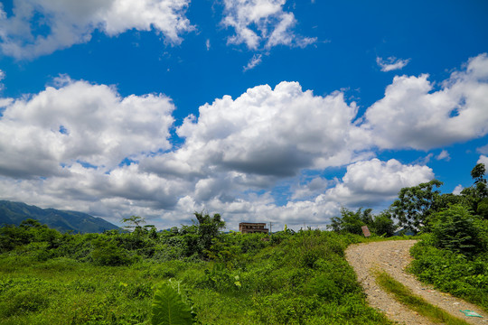 山水田园