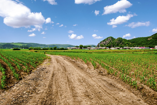 乡村田园