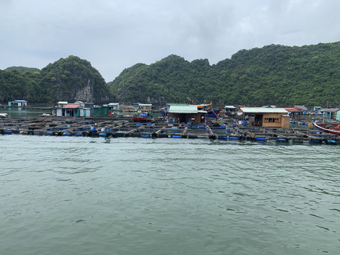 越南海防市吉婆岛