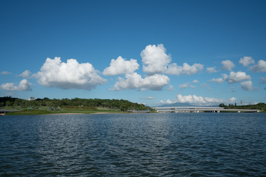 深圳湾人才公园