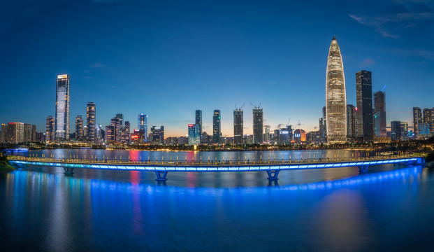 粤港澳大湾区深圳湾夜景