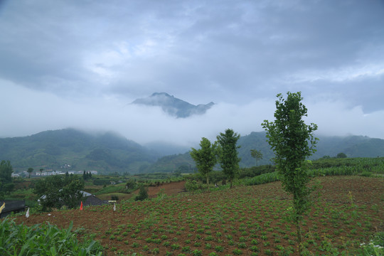 蒋家堰画屏山W