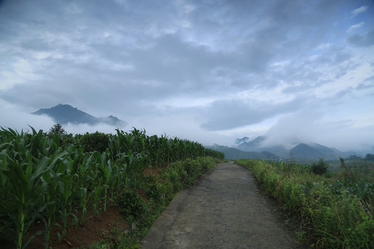 蒋家堰画屏山Y