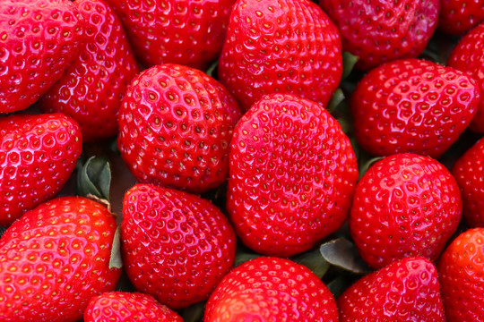 新鲜红色大草莓特写